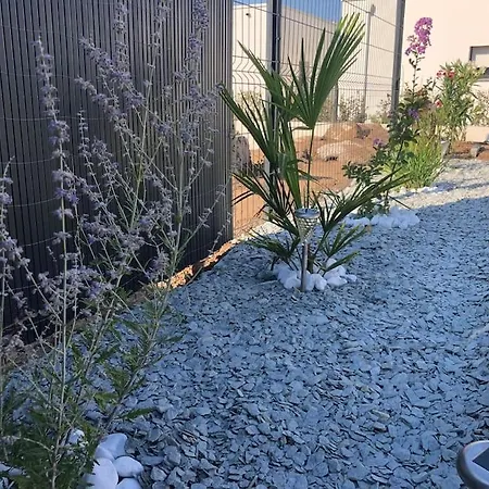 Neuve Avec Piscine Lecci